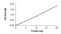 Sino Biological&nbsp;Recombinant Human DEP-1 Protein (GST Tag), Active